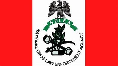 Armed Hoodlums Kill NDLEA Official During Raid On Drug Enclave