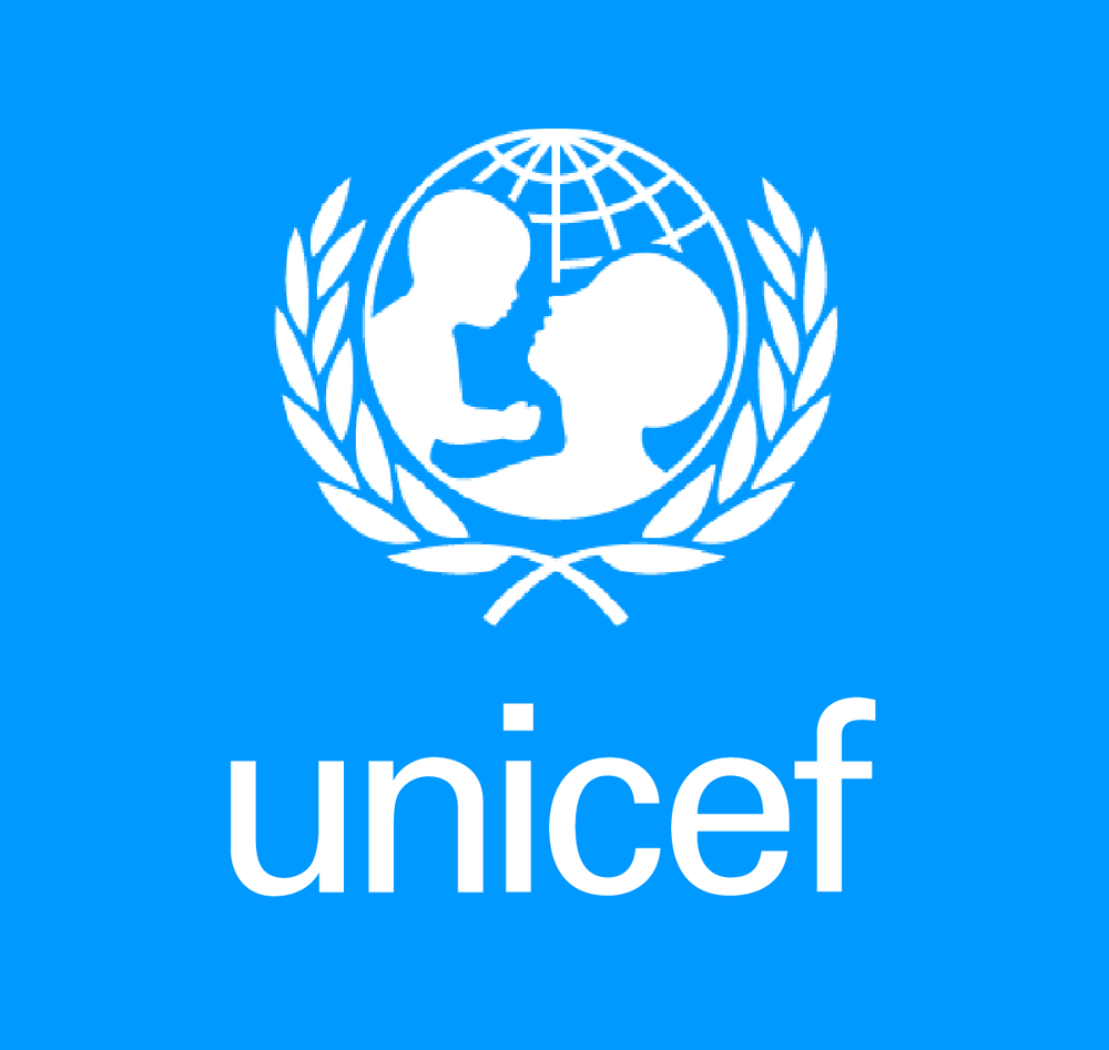 Nigeria Needs Accurate Data - UNICEF, NBS