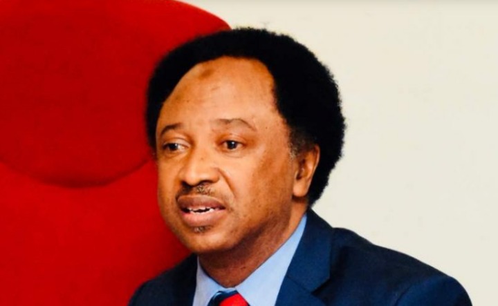 Shehu Sani Manipulates Nigerians to Accept Bad Leaders