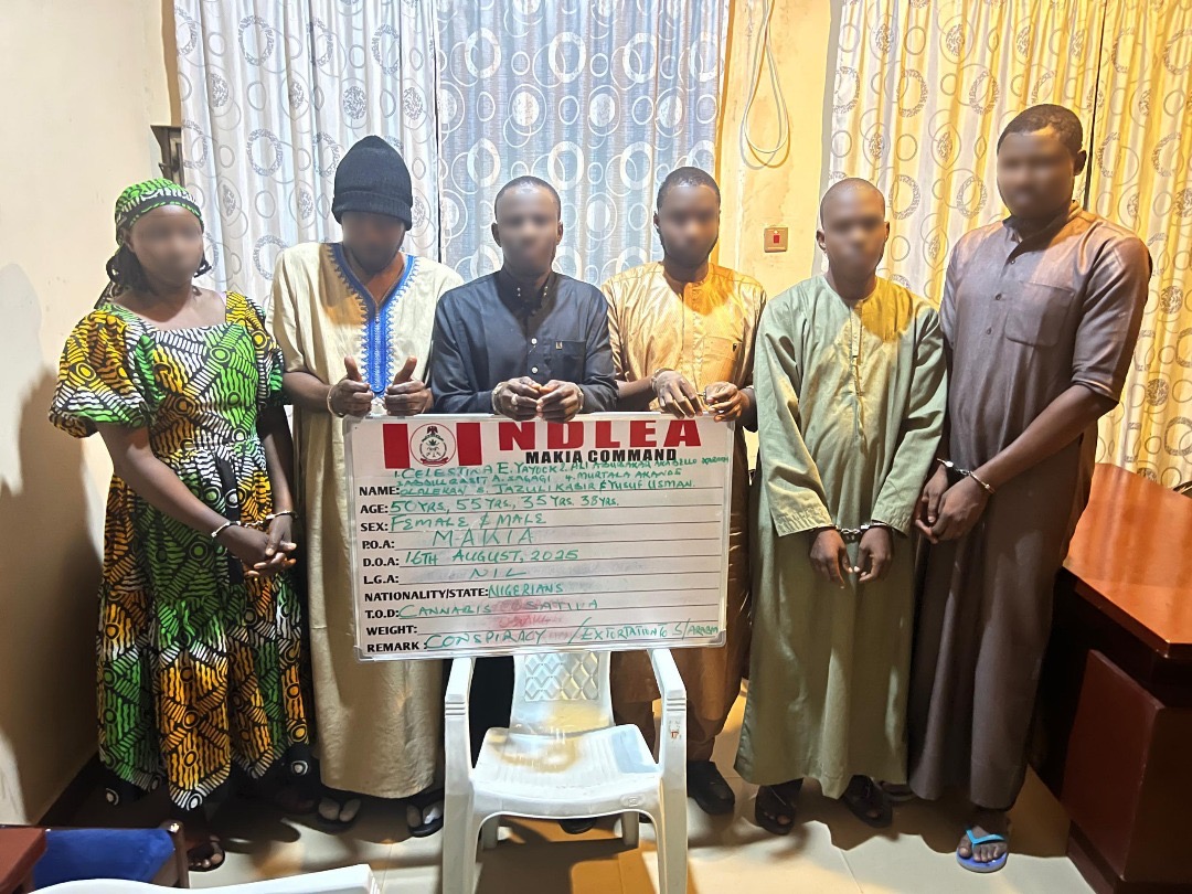 Drug kingpin, 5 others in NDLEA custody over arrest of 3 Nigerians in Saudi Arabia