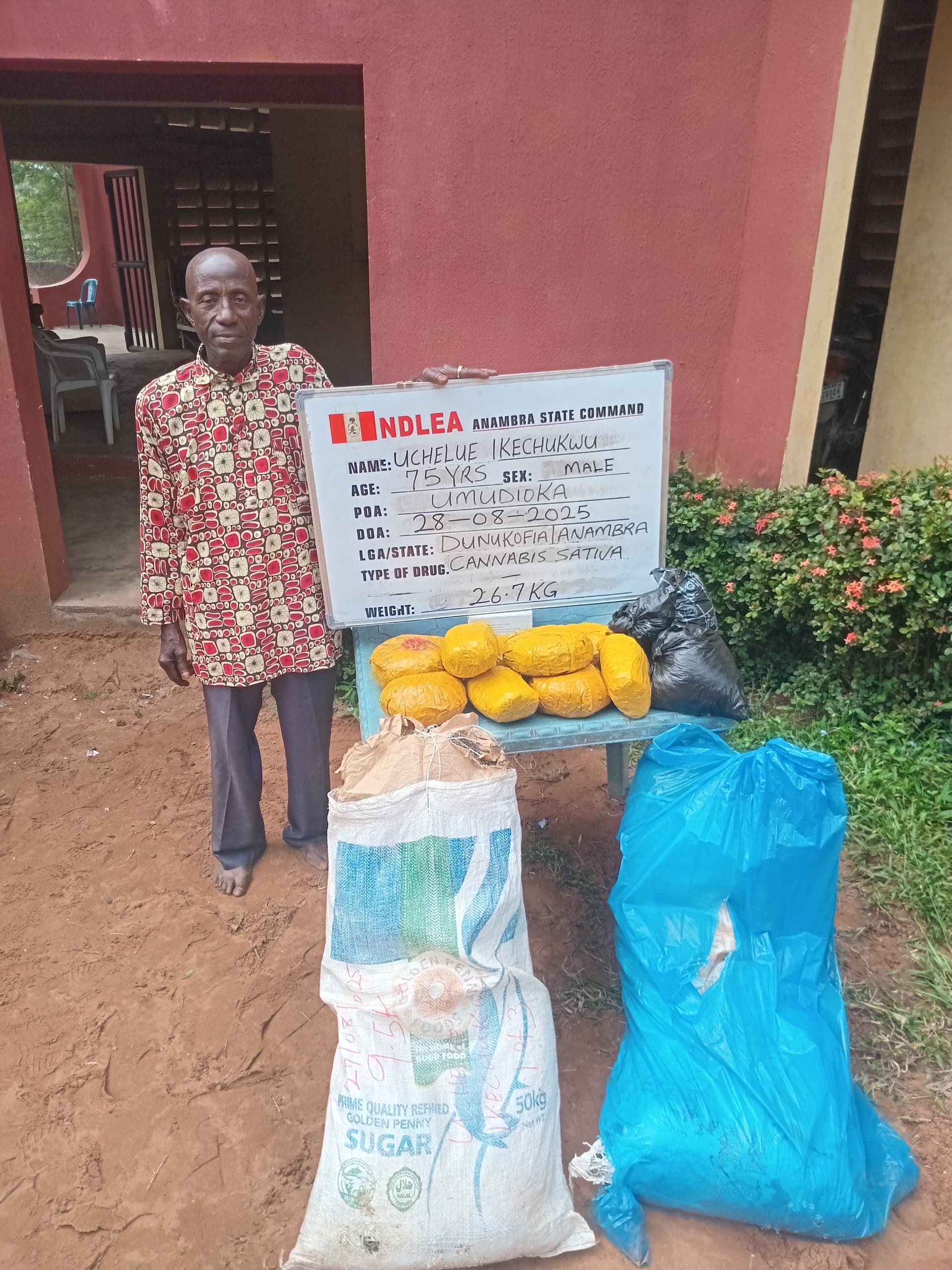 75-year-old grandpa arrested as NDLEA destroys 178,000kg skunk in Taraba forest