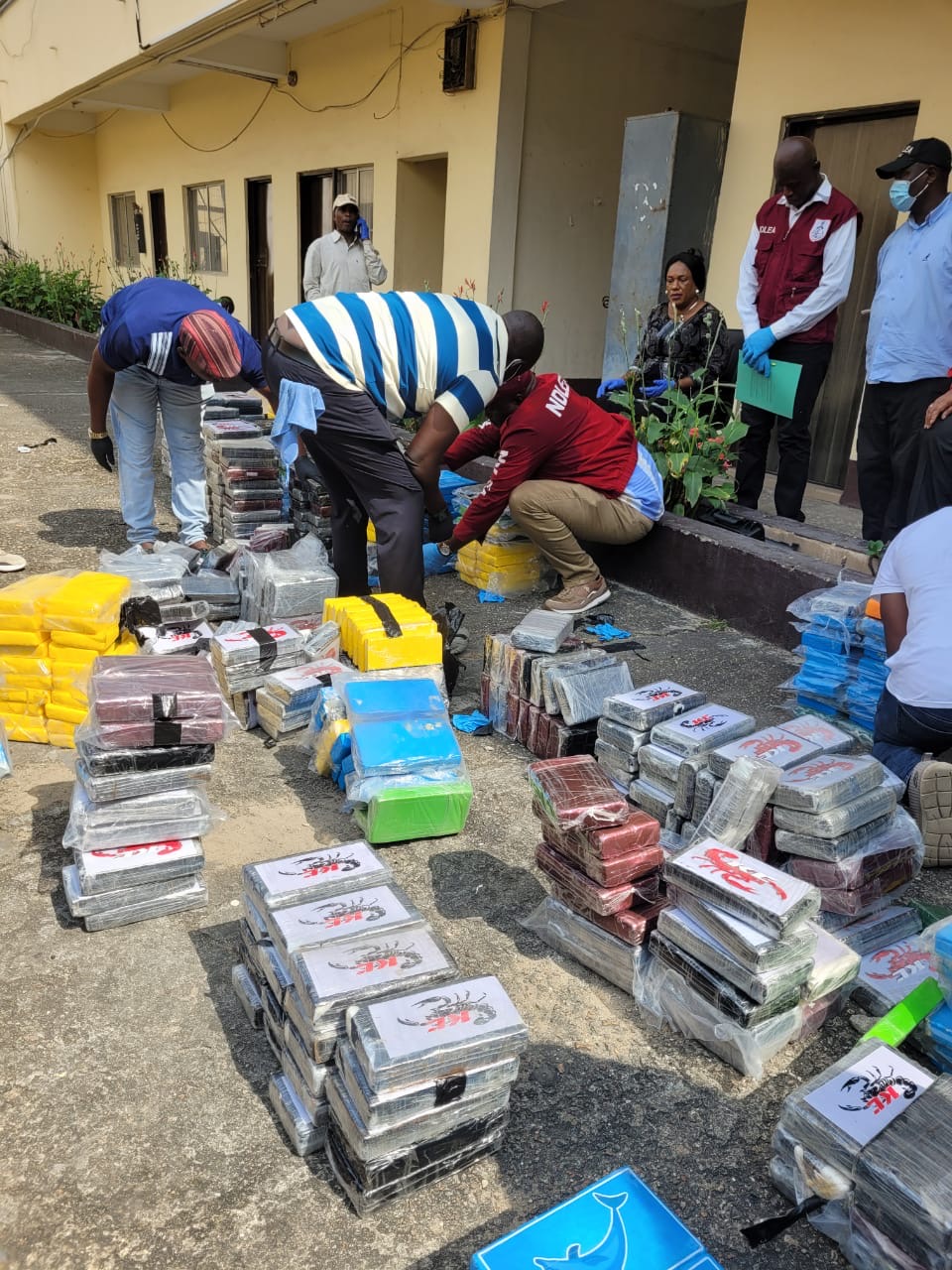 NDLEA working with US-DEA, UK-NCA over 1,000kg cocaine recovered at Lagos port