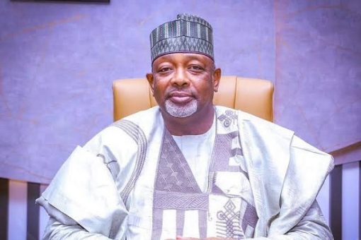 Minister of Agriculture Says Nigeria Moving Towards Food Security