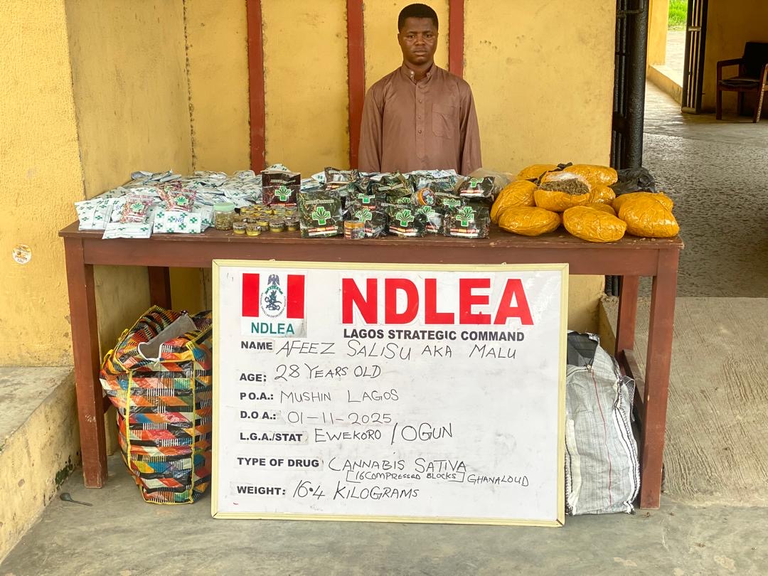 NDLEA alerts on fake medicinal cannabis, recovers large consignment, arrests kingpin
