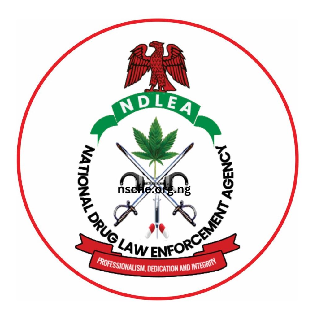 NDLEA busts illicit drug warehouse, recovers N6.7 billion opioids, arrests baron, 5 others