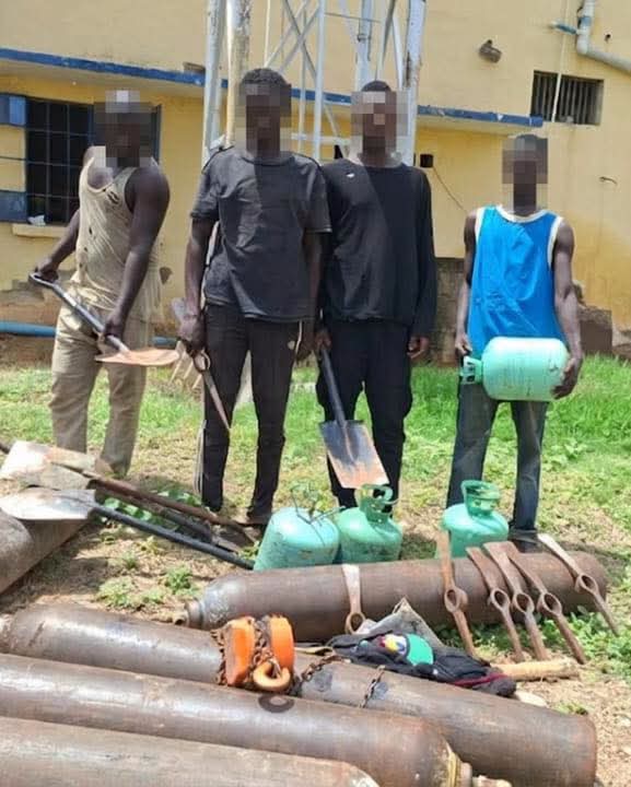 Police Make Public Space Uncomfortable For Criminals, Arrest 7 In Adamawa