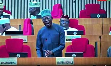 Nigeria Investigates Xenophobia While Tanzania, Botswana Take Strong Retaliatory Actions
