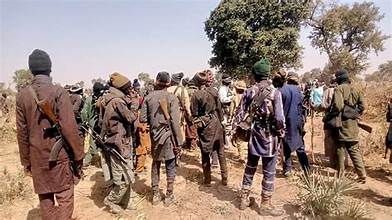 Bandits Demystify Tinubu, Kill 3 In Plateaus hours After Visit