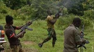 Bandits Renew Hostilities, Kill 1, kidnap 7 in Kaduna