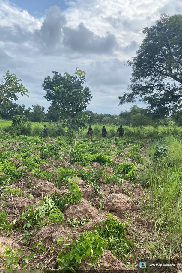 Military Comb Farmlands, Overpower Armed Herdsmen In Gunbattle, Kill 1 In Benue