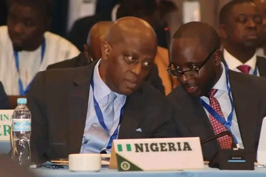 Cardoso Leads Nigerian Delegation To Committee of Governors In Liberia