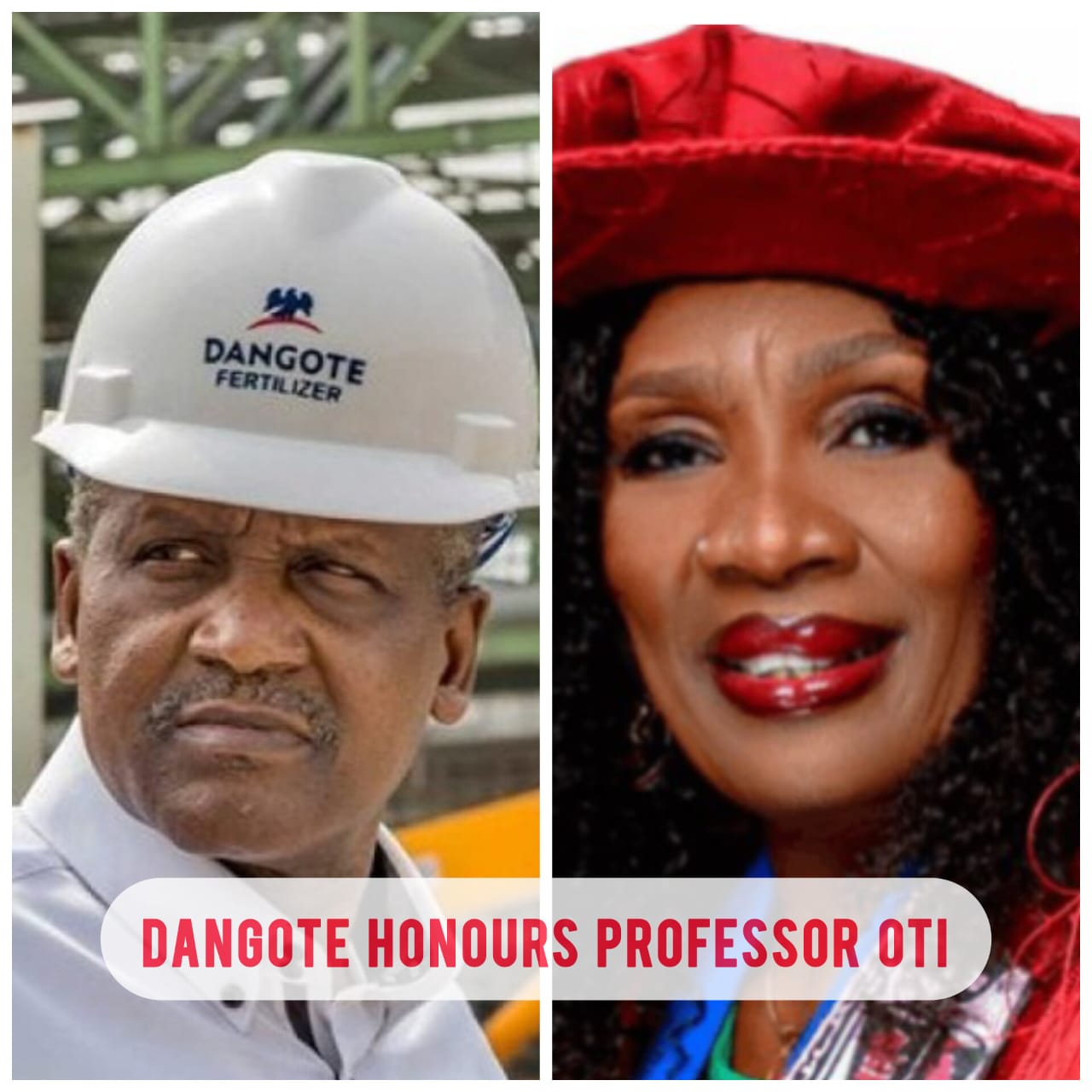 Dangote Honours Prof. Nnena Oti, Offers Automatic Employment To 30 FUTO Students