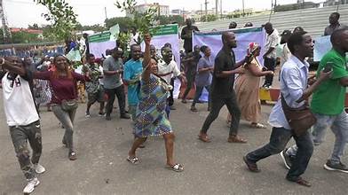 Constituency Delineation: Pandemonium in INEC As Thugs Attack Protesting Itsekiri Youths