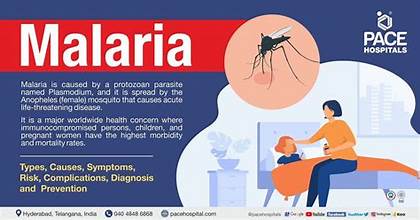 FG Assures On Eradication Of Malaria