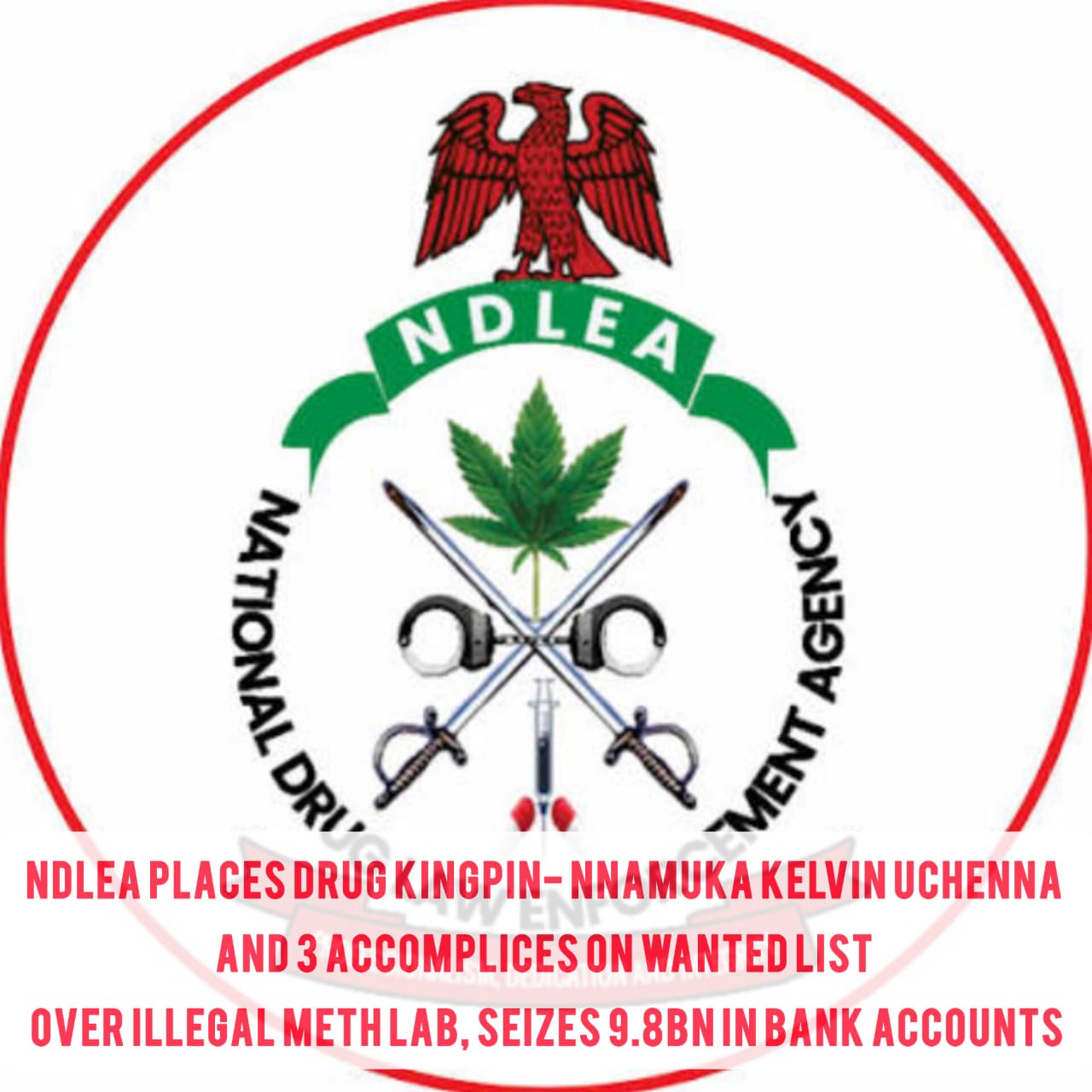 NDLEA On Manhunt of Uchenna, 3 Associates For Setting Methamphetamine Laboratory, Production