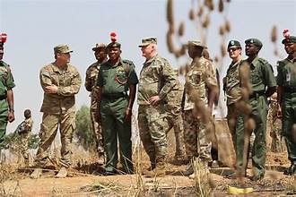 Nigeria/U.S. Joint Force Sustain Strikes Against ISIS In North East