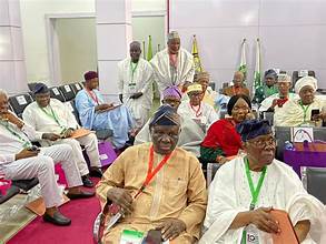 PDP NEC Approves Interim 13-Member NWC