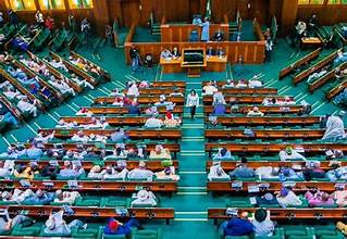 Reps Intensifies Probe Into N1.12trn Anchor Borrowers Programme