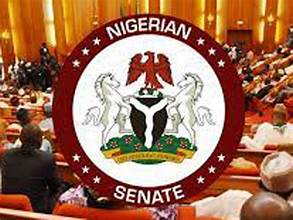 Senate Issues Ultimatum to Defaulting Agencies On Audit Queries