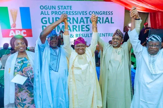 APC Primary: Adeola Floors Hunye with 304,055 Votes in Ogun Governorship Race