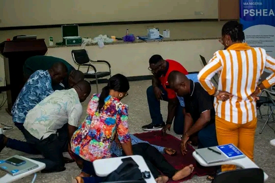FG Urged to Deepen Youth Inclusion in Climate Action