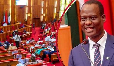 Senate Confirms Taiwo Oyedele As Junior Finance  Minister