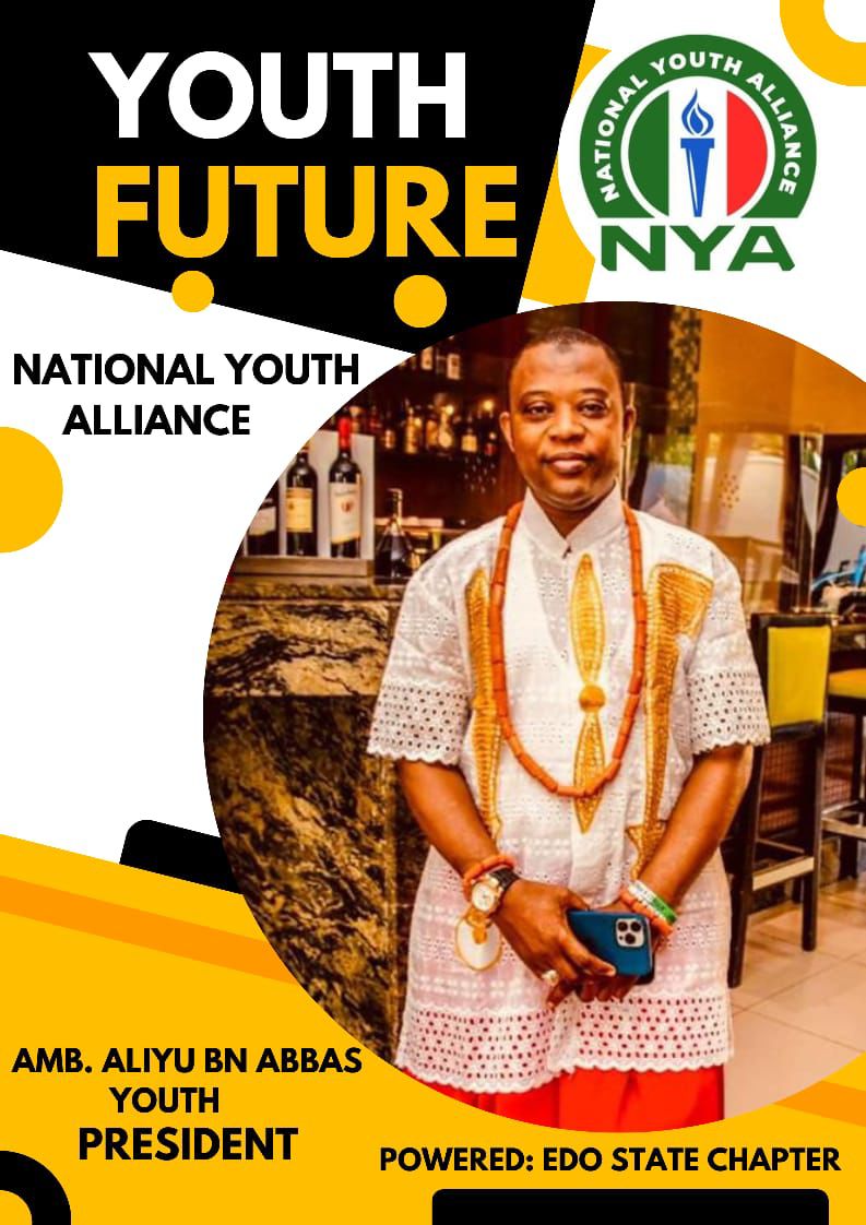 Youth Alliance Inaugurates South-South Coordinators As Democracy Defenders